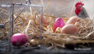 Photo Studio Garmo - Culinaire